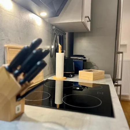 Residery Zentrale Altbauwohnung Mit Arbeitsplatz In Der Innstadt Διαμέρισμα
